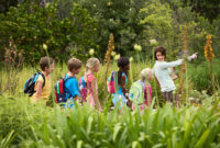 Young teacher with children on nature field trip