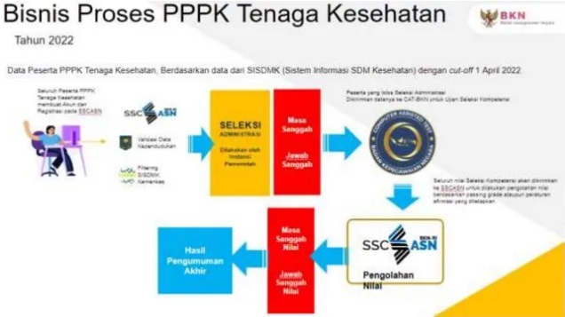 Rincian Formasi Casn Pppk Tahun 2022 Beberapa Provinsi Di Indonesia