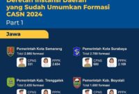 Daftar Daerah Yang Telah Umumkan Jumlah Formasi CPNS Dan PPPK Tahun 2024, Part 1