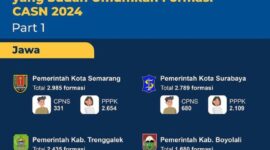 Daftar Daerah Yang Telah Umumkan Jumlah Formasi CPNS Dan PPPK Tahun 2024, Part 1