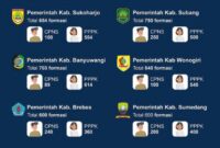 Daftar Jumlah Formasi CPNS Dan PPPK Tahun 2024 di Berbagai Daerah, Part 2